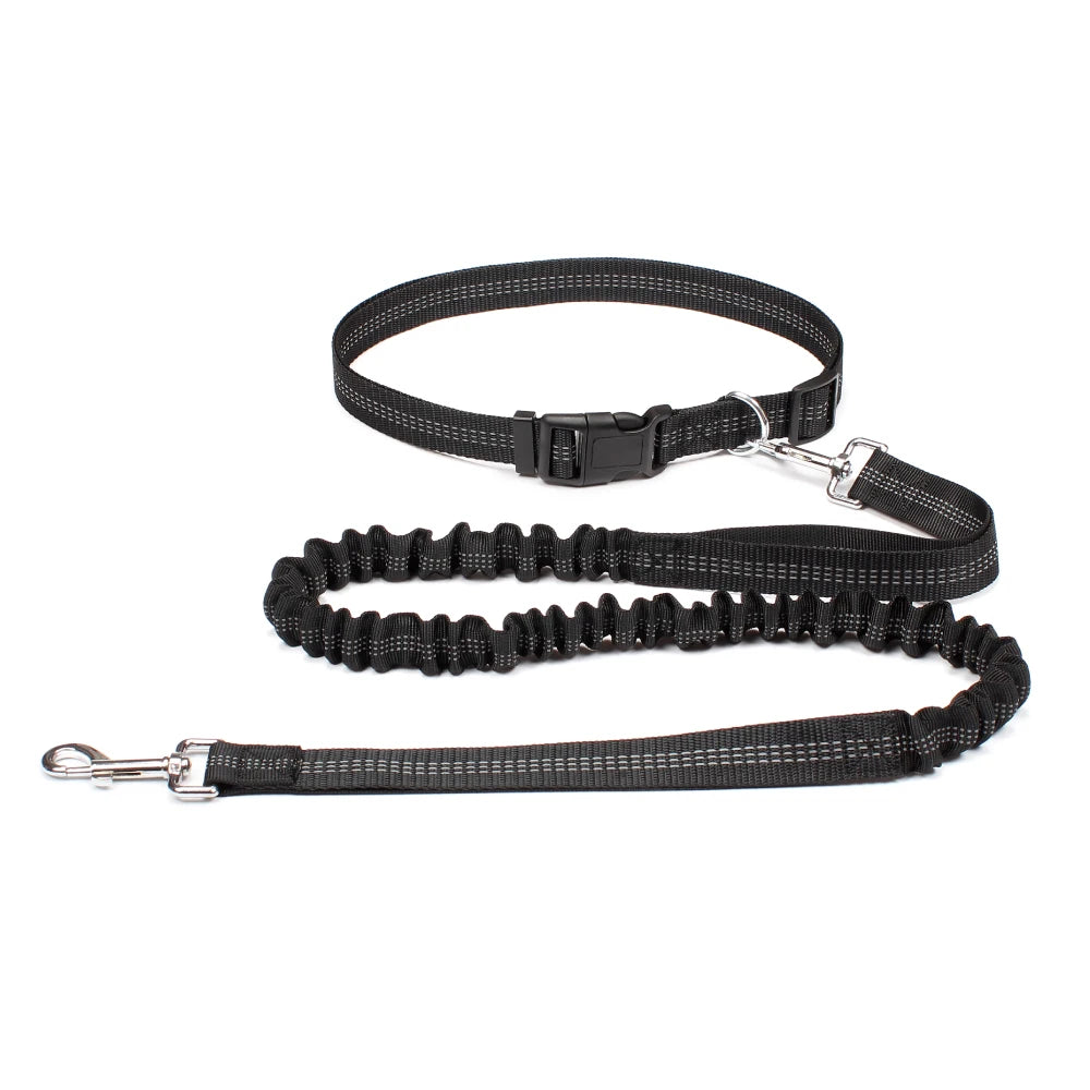 Experience Freedom with Our Adjustable Hands-Free Dog Leash - Ideal for Running, Jogging, and Walking Your Beloved Dog!
