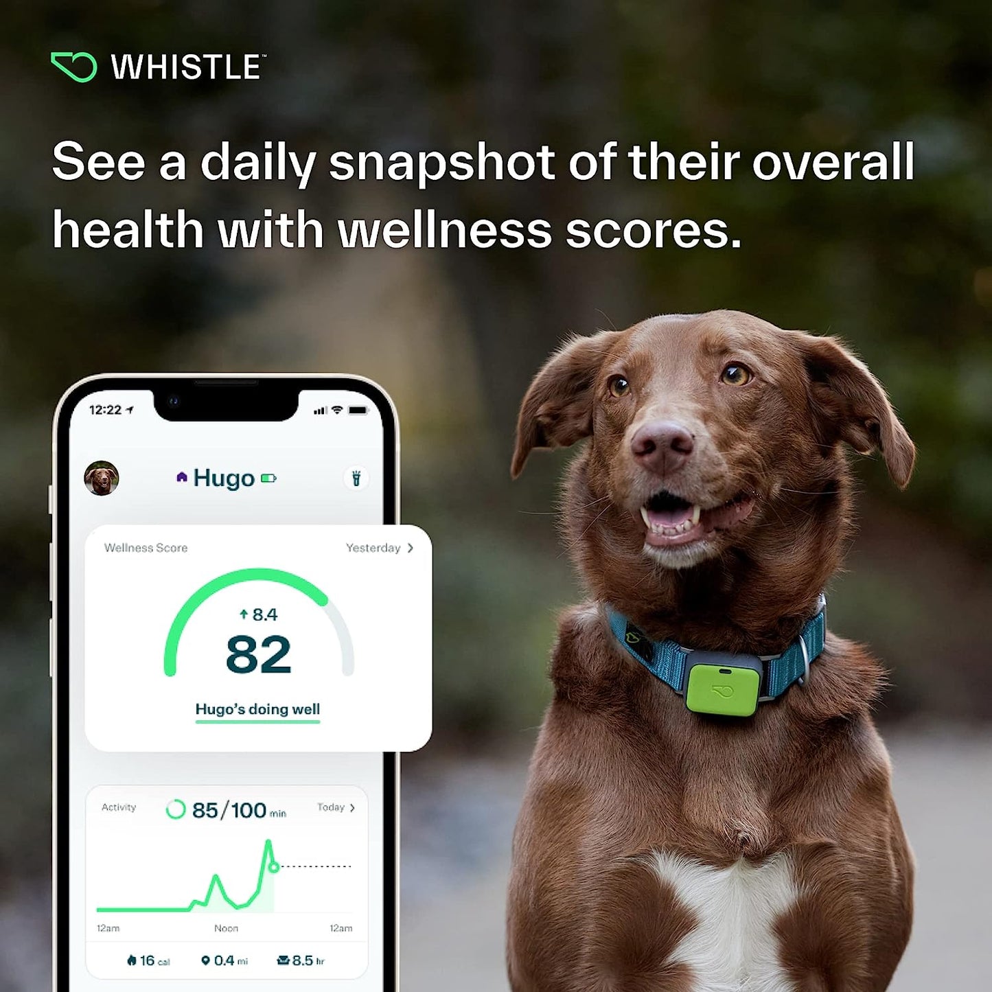 Unleash Adventure with the GO Explore Health + GPS Tracker for Pets – Green Edition (100-04202-00)