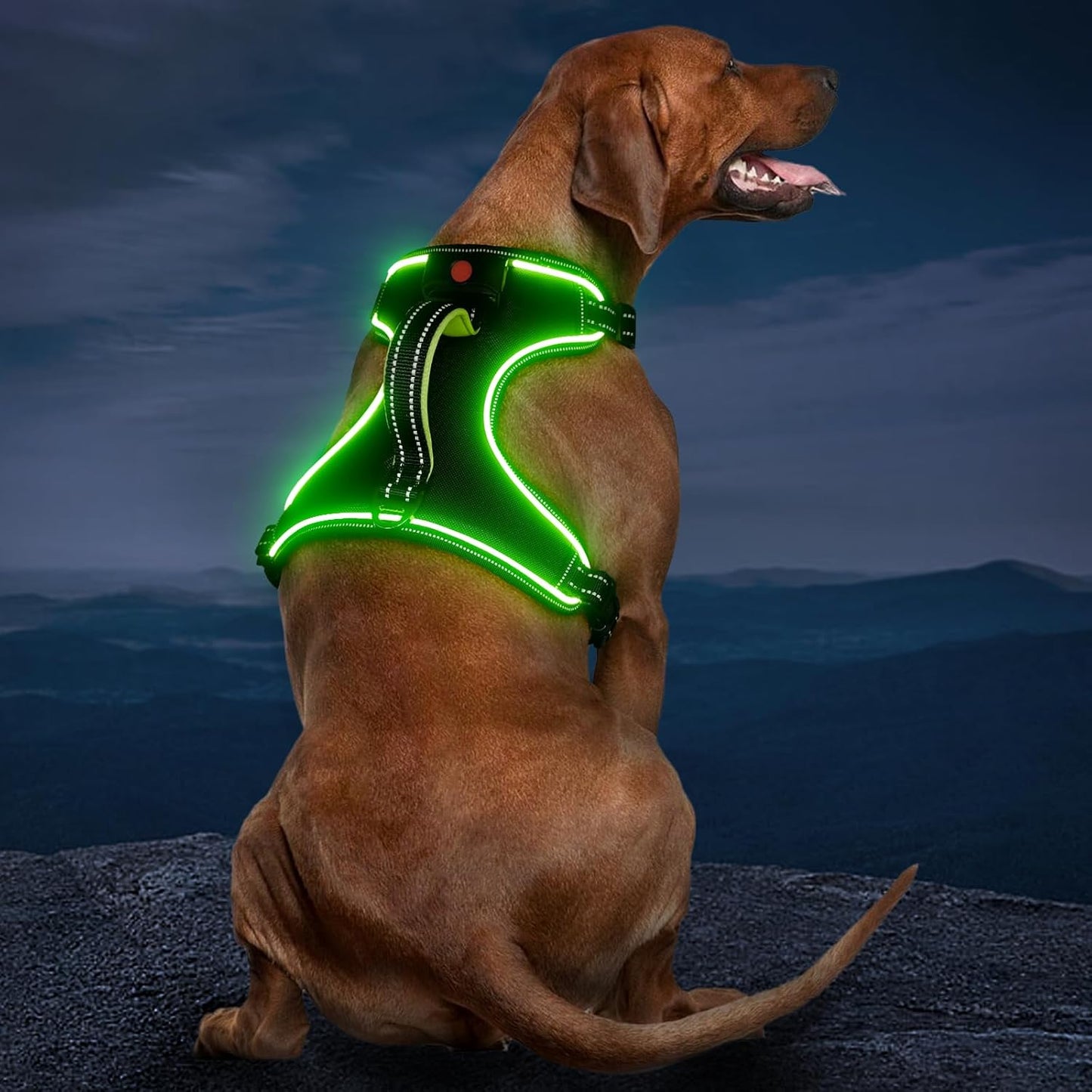 Rechargeable LED Dog Harness - No Pull, 4 Point Adjustable, Lighted Vest for Small/Medium/Large/X-Large Dogs