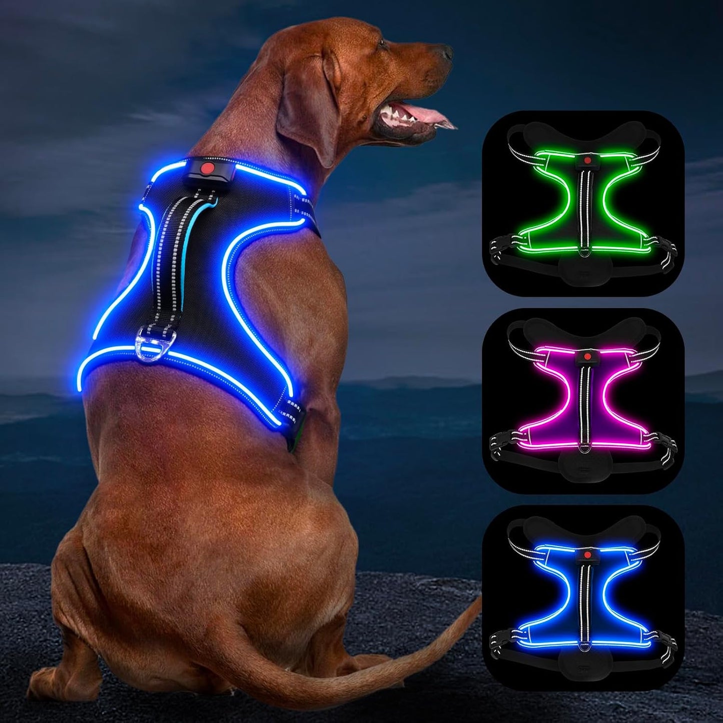 Rechargeable LED Dog Harness - No Pull, 4 Point Adjustable, Lighted Vest for Small/Medium/Large/X-Large Dogs