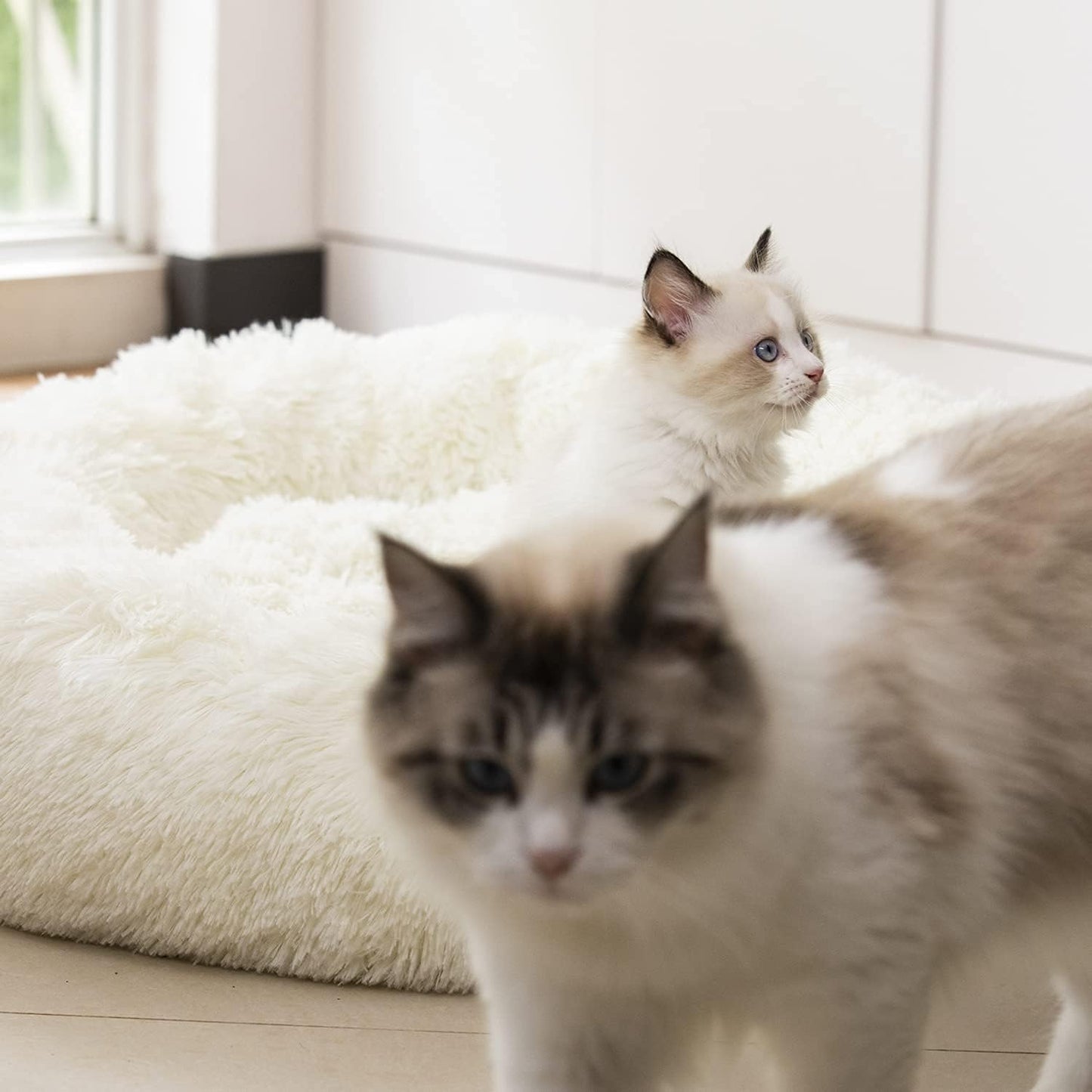 Wrap Your Pet in Luxury! 🐾✨ Enjoy the Snuggly Comfort of Our Anti-Anxiety Plush Faux Fur Pet Bed - Perfect for Dogs & Cats! Available in 20", 24", & 27" (27" in Elegant White) 🌟