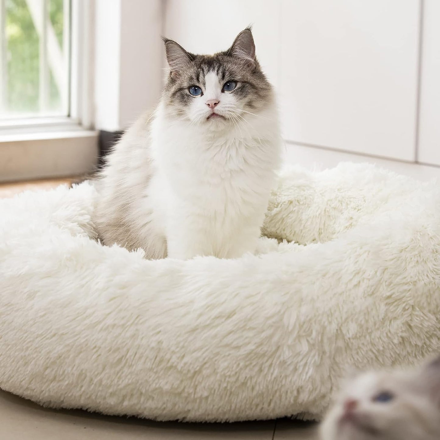 Wrap Your Pet in Luxury! 🐾✨ Enjoy the Snuggly Comfort of Our Anti-Anxiety Plush Faux Fur Pet Bed - Perfect for Dogs & Cats! Available in 20", 24", & 27" (27" in Elegant White) 🌟
