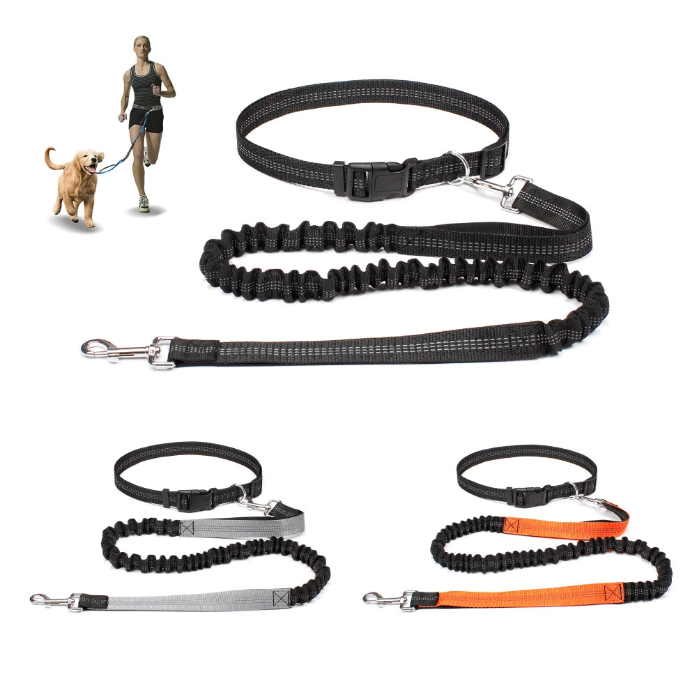 Experience Freedom with Our Adjustable Hands-Free Dog Leash - Ideal for Running, Jogging, and Walking Your Beloved Dog!