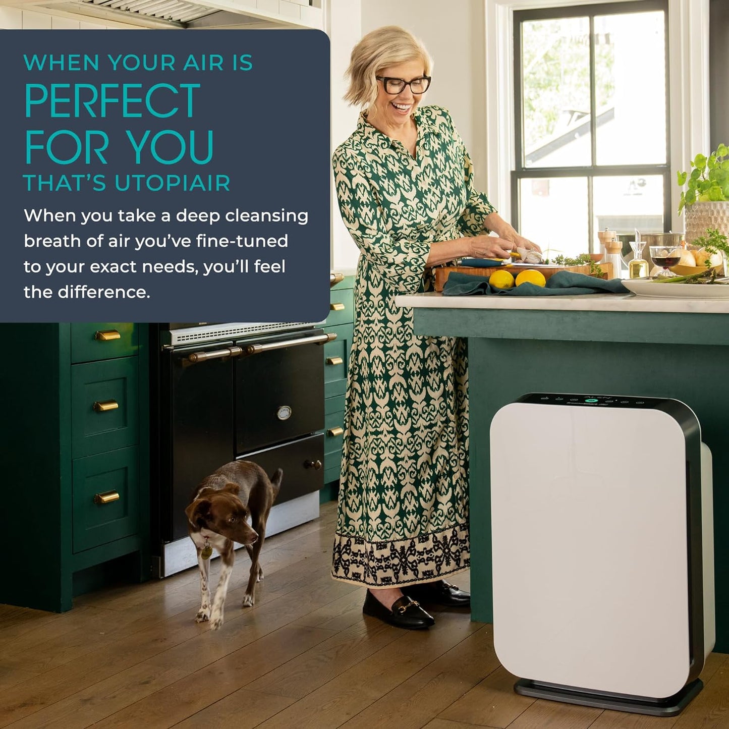 Breathe Easy with the Powerful Breathesmart Flex HEPA Air Purifier β Captures Dust, Mold, and Smoke for a Healthier Home!