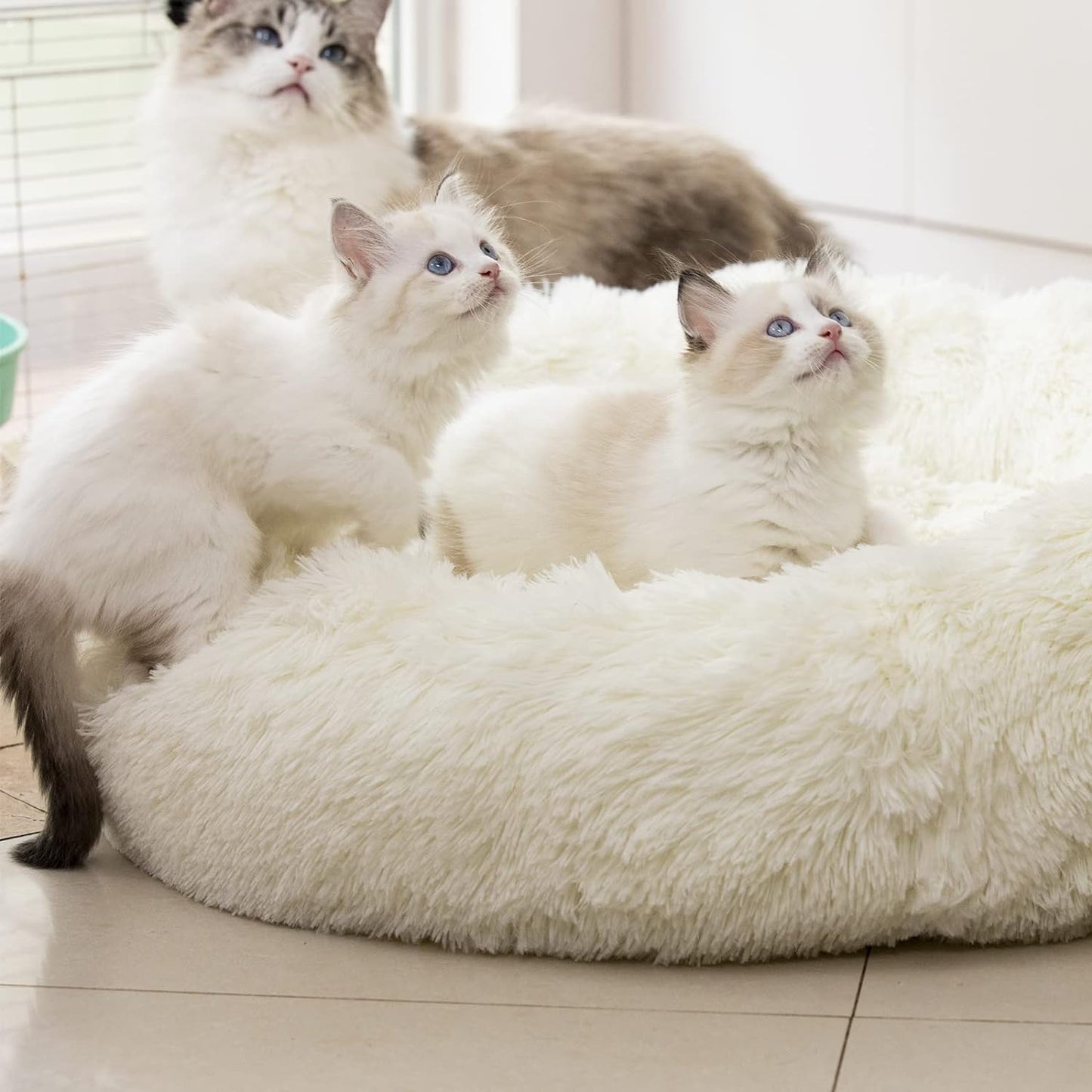 Wrap Your Pet in Luxury! 🐾✨ Enjoy the Snuggly Comfort of Our Anti-Anxiety Plush Faux Fur Pet Bed - Perfect for Dogs & Cats! Available in 20", 24", & 27" (27" in Elegant White) 🌟