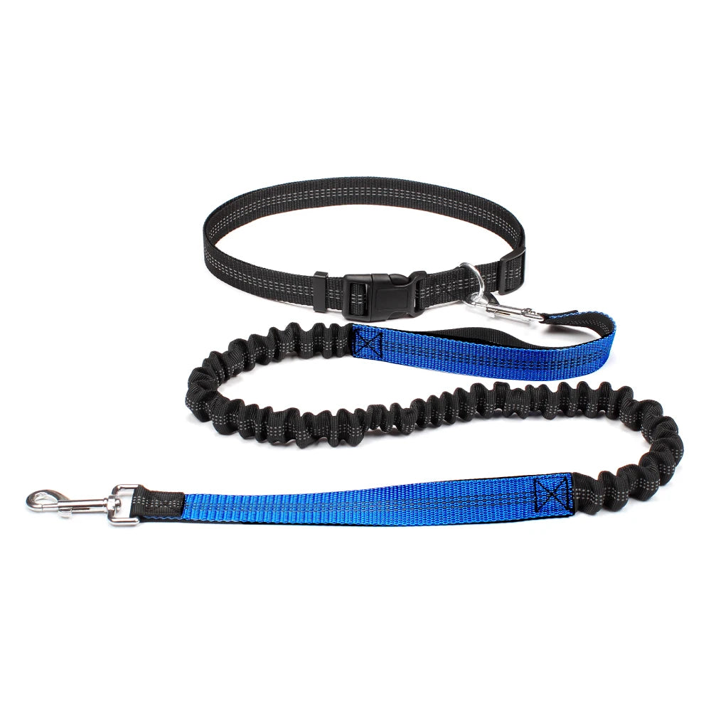 Experience Freedom with Our Adjustable Hands-Free Dog Leash - Ideal for Running, Jogging, and Walking Your Beloved Dog!