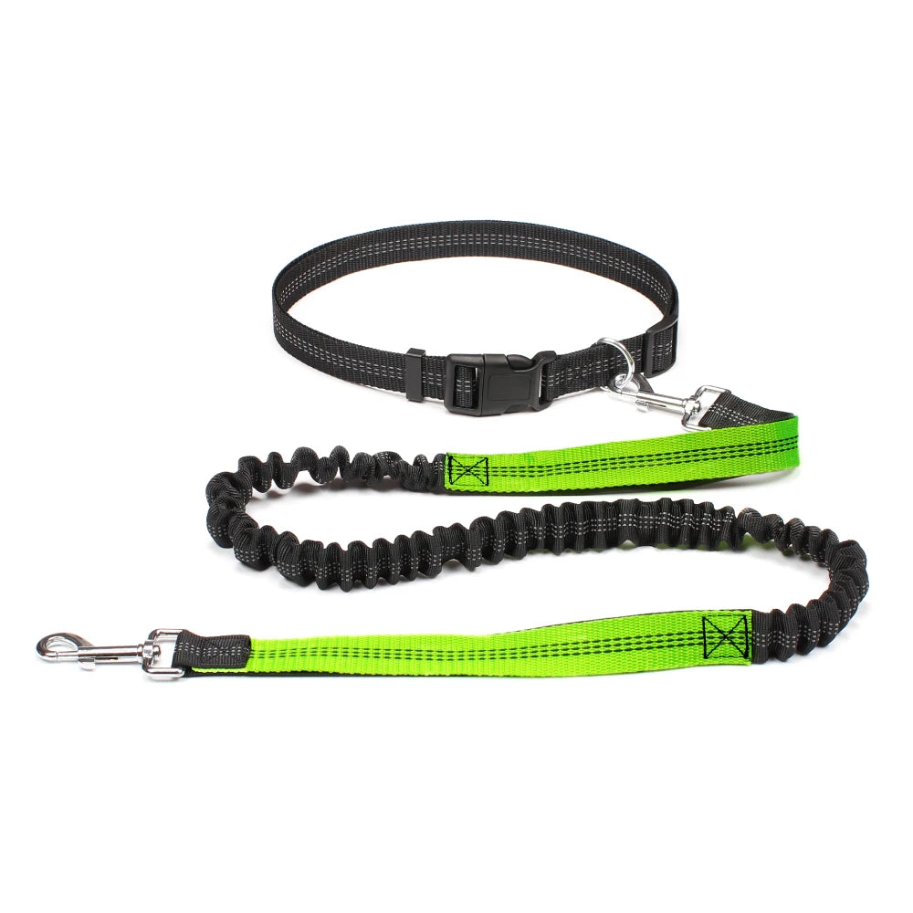 Experience Freedom with Our Adjustable Hands-Free Dog Leash - Ideal for Running, Jogging, and Walking Your Beloved Dog!