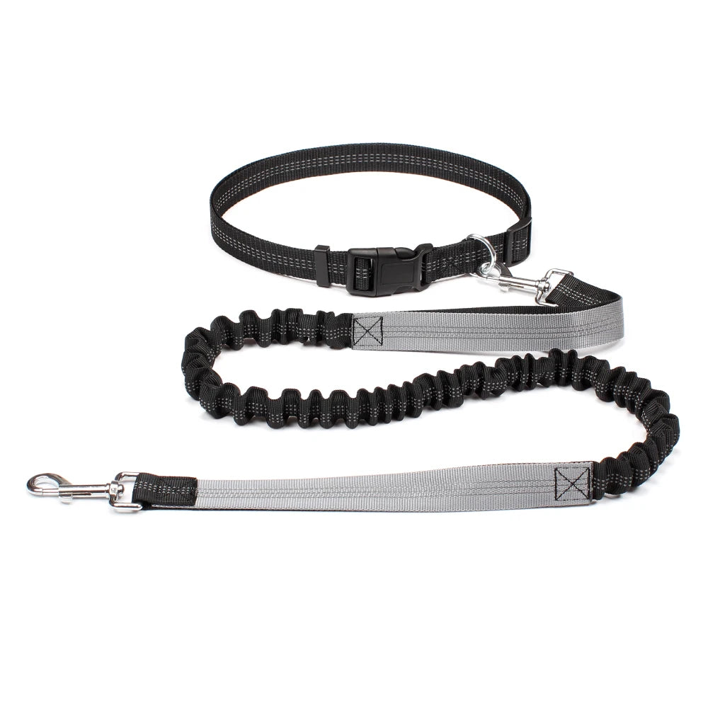 Experience Freedom with Our Adjustable Hands-Free Dog Leash - Ideal for Running, Jogging, and Walking Your Beloved Dog!
