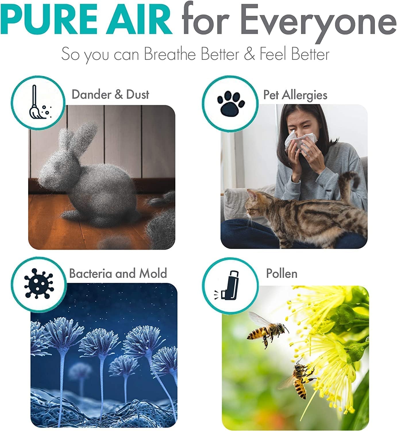 Breathe Easy with the Powerful Breathesmart Flex HEPA Air Purifier β Captures Dust, Mold, and Smoke for a Healthier Home!