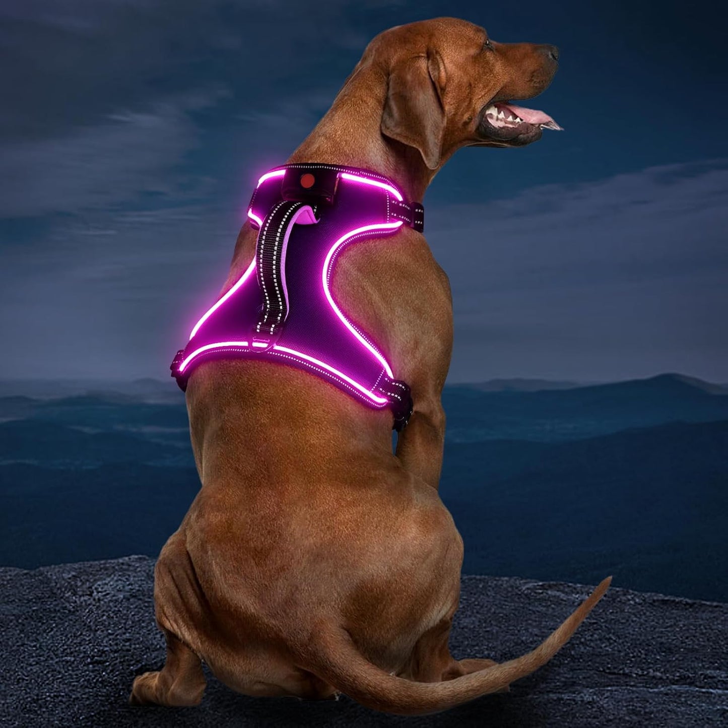 Rechargeable LED Dog Harness - No Pull, 4 Point Adjustable, Lighted Vest for Small/Medium/Large/X-Large Dogs