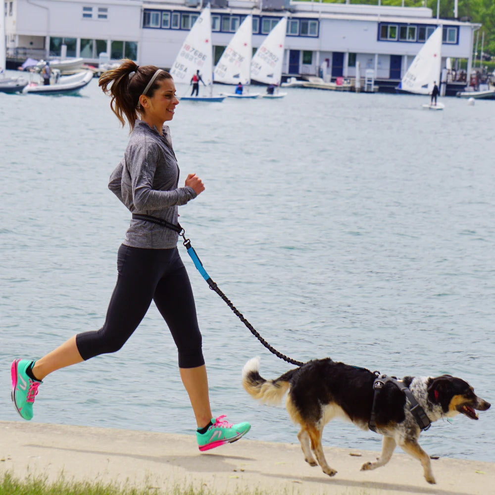 Experience Freedom with Our Adjustable Hands-Free Dog Leash - Ideal for Running, Jogging, and Walking Your Beloved Dog!