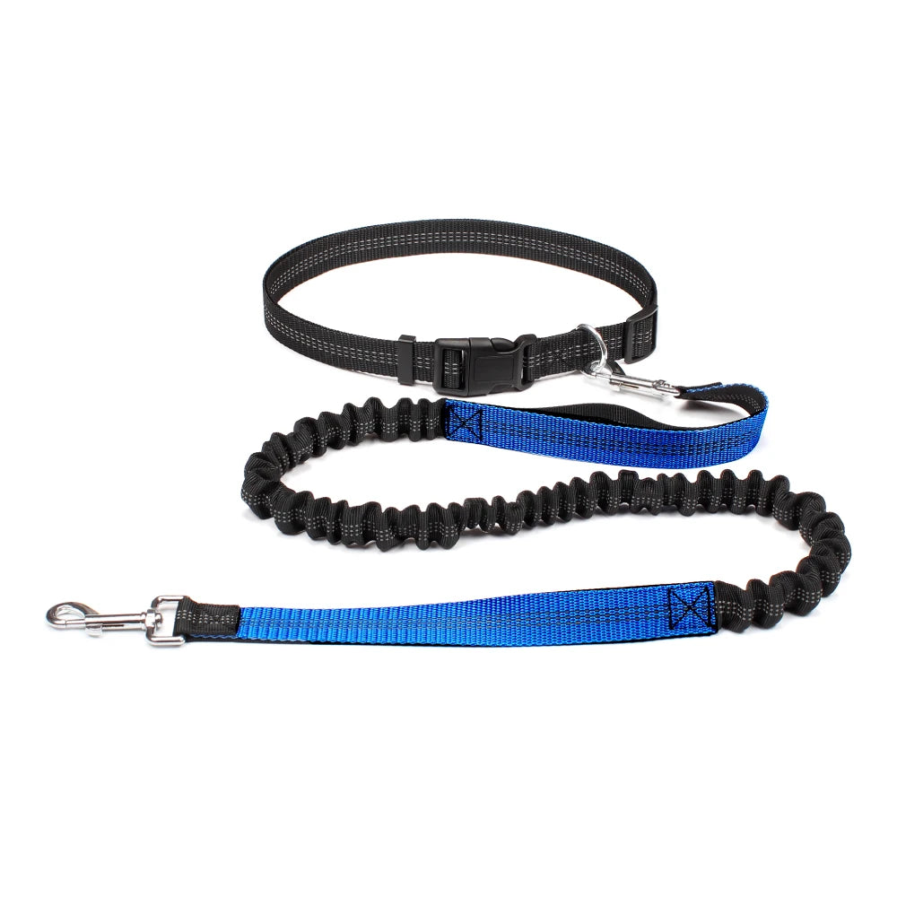 Experience Freedom with Our Adjustable Hands-Free Dog Leash - Ideal for Running, Jogging, and Walking Your Beloved Dog!
