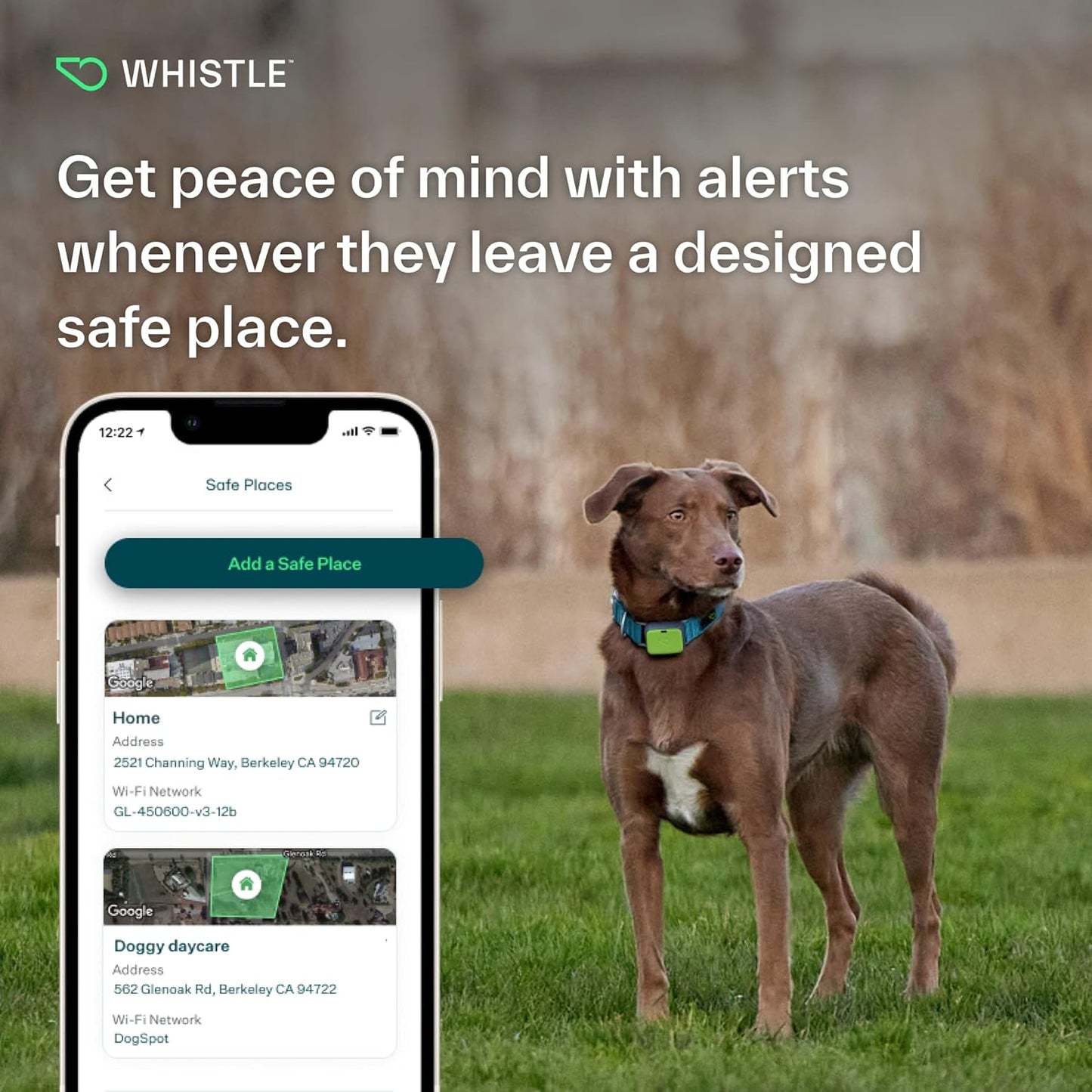 Unleash Adventure with the GO Explore Health + GPS Tracker for Pets – Green Edition (100-04202-00)