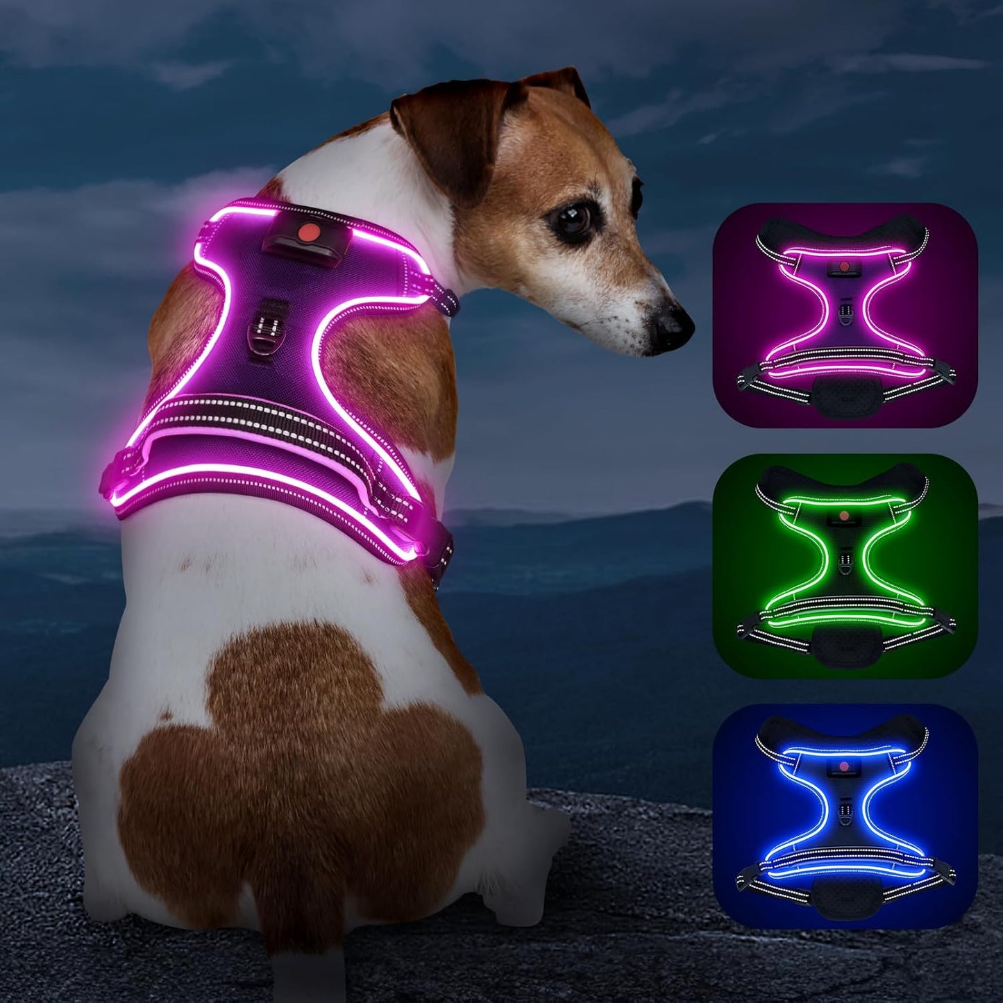 Rechargeable LED Dog Harness - No Pull, 4 Point Adjustable, Lighted Vest for Small/Medium/Large/X-Large Dogs