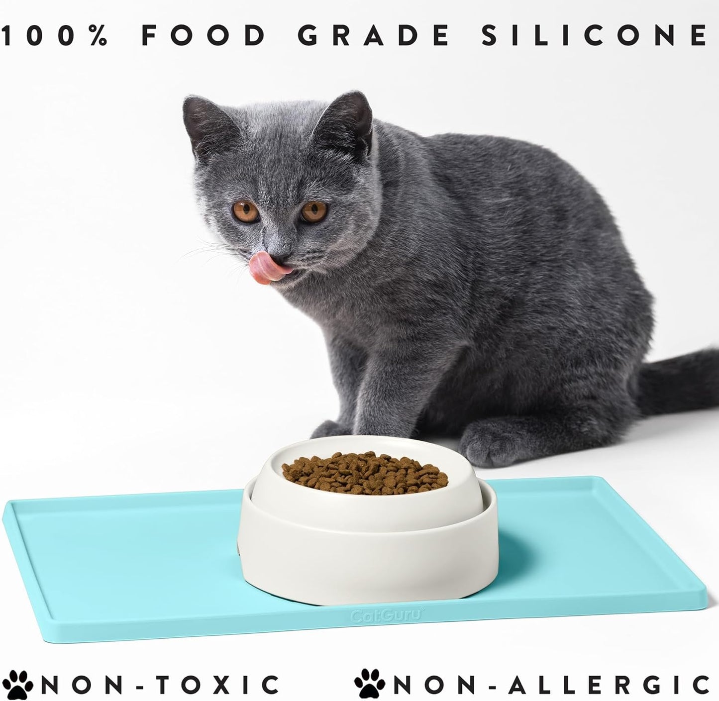 Say Goodbye to Mealtime Mess with Our Colorful, Non-Slip Cat Food Mat β Waterproof & Easy to Clean! ππΎ