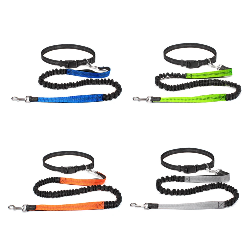 Experience Freedom with Our Adjustable Hands-Free Dog Leash - Ideal for Running, Jogging, and Walking Your Beloved Dog!