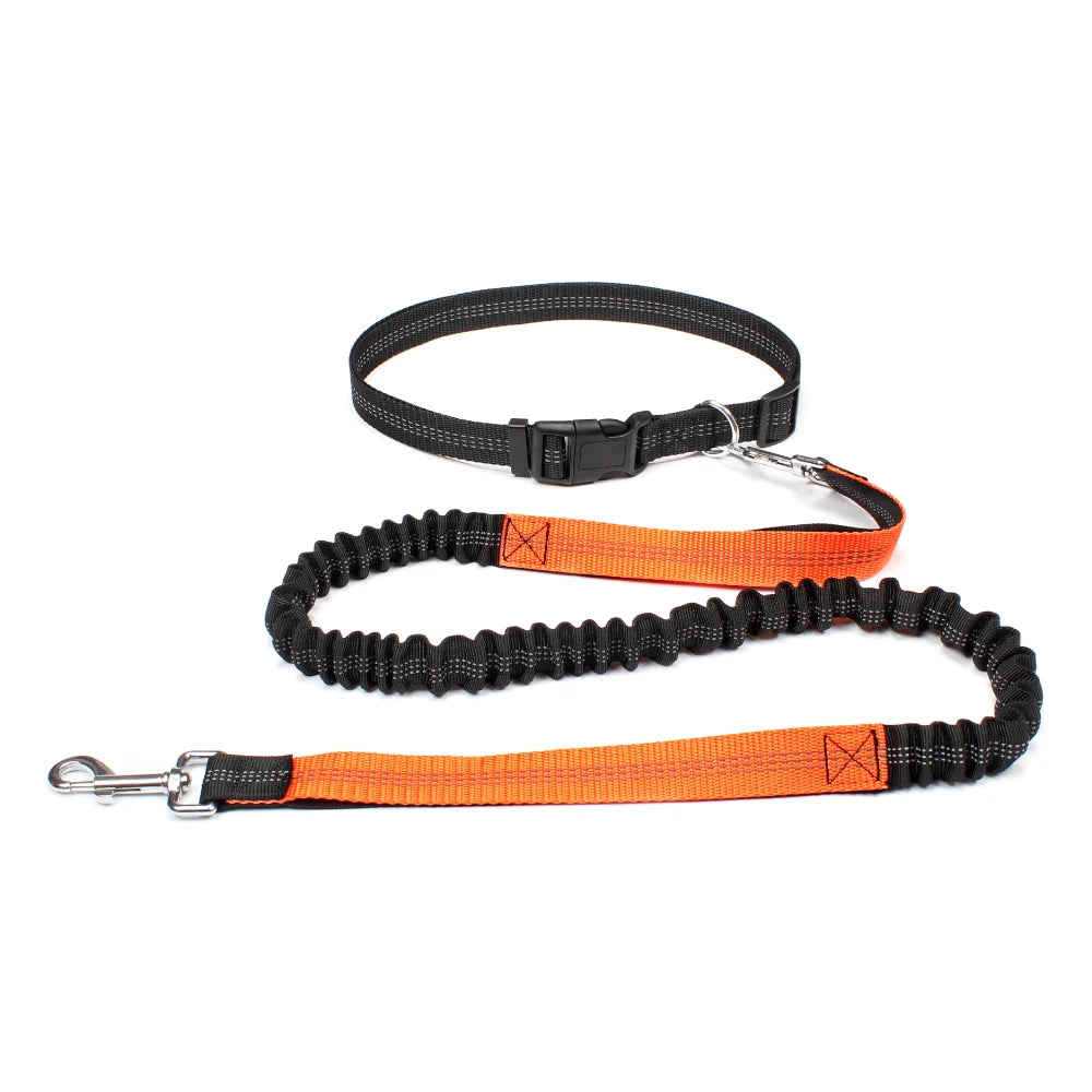 Experience Freedom with Our Adjustable Hands-Free Dog Leash - Ideal for Running, Jogging, and Walking Your Beloved Dog!