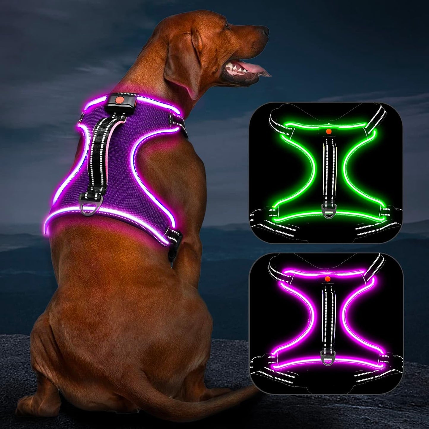 Rechargeable LED Dog Harness - No Pull, 4 Point Adjustable, Lighted Vest for Small/Medium/Large/X-Large Dogs