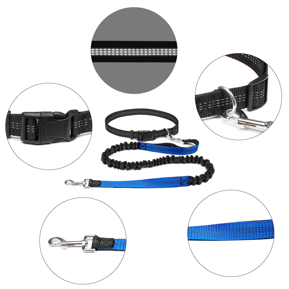 Experience Freedom with Our Adjustable Hands-Free Dog Leash - Ideal for Running, Jogging, and Walking Your Beloved Dog!