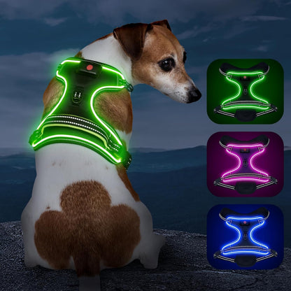 Rechargeable LED Dog Harness - No Pull, 4 Point Adjustable, Lighted Vest for Small/Medium/Large/X-Large Dogs