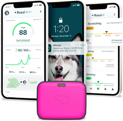 Unleash Adventure with the GO Explore Health + GPS Tracker for Pets – Green Edition (100-04202-00)