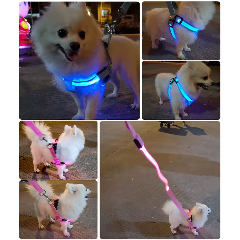 Illuminate Your Dog's Adventures with the Adjustable LED No-Pull Harness - Perfect for Nighttime Safety!