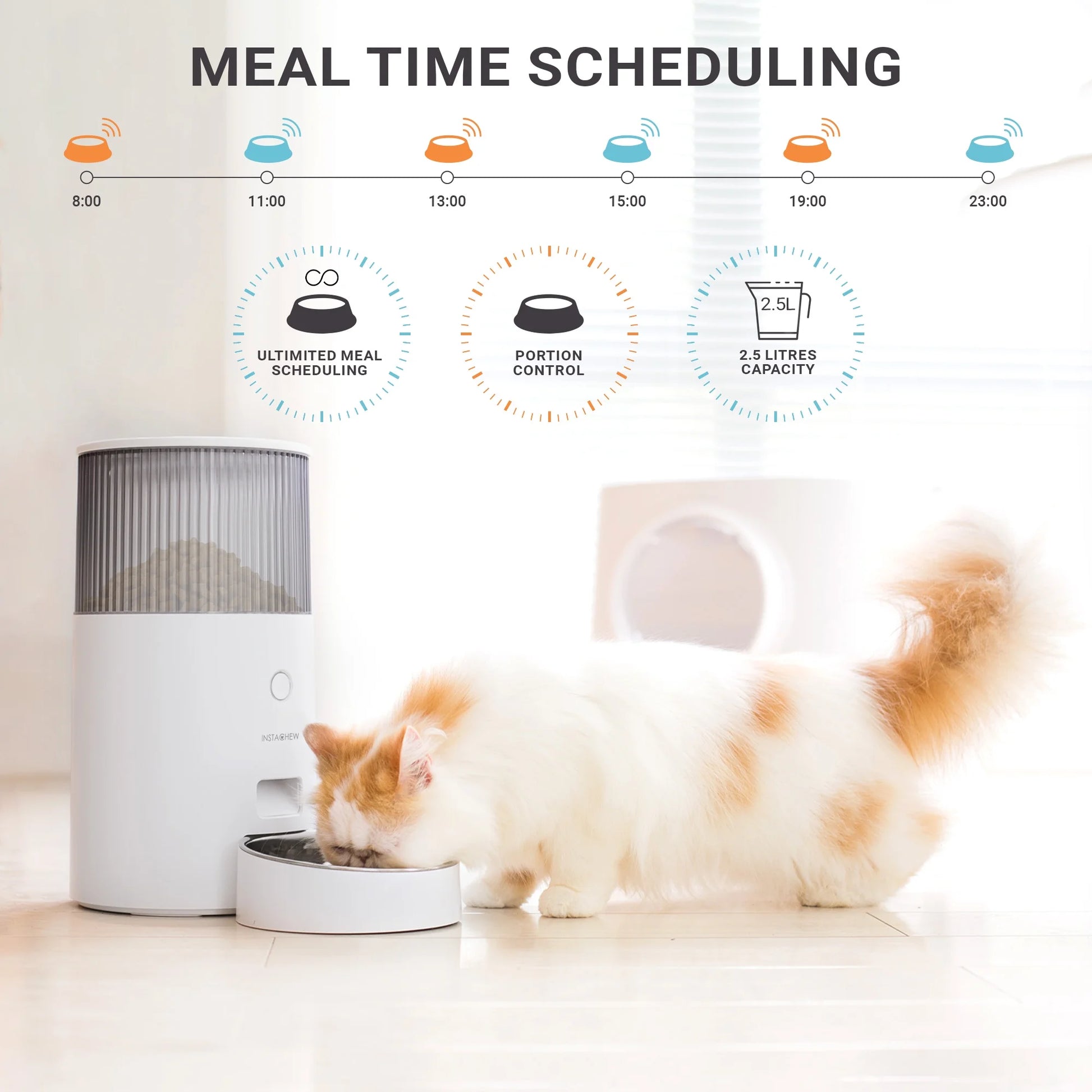 Revolutionize Your Pet's Mealtime with the Purechew Mini Automatic Smart Feeder – Perfect for Cats and Dogs!