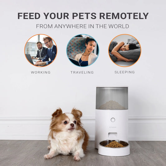 Revolutionize Your Pet's Mealtime with the Purechew Mini Automatic Smart Feeder – Perfect for Cats and Dogs!