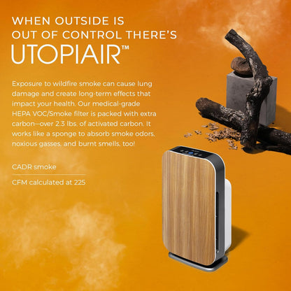 Breathe Easy with the Powerful Breathesmart Flex HEPA Air Purifier – Captures Dust, Mold, and Smoke for a Healthier Home!