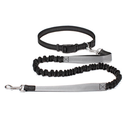 Experience Freedom with Our Adjustable Hands-Free Dog Leash - Ideal for Running, Jogging, and Walking Your Beloved Dog!