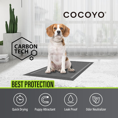 Dog Training Pads 丨 Carbon Absorb Eliminating Urine Odor Doggie Training Pads 丨 Premium Charcoal Dog Pee Pads (100 Count, 22X22 Inch),Gray