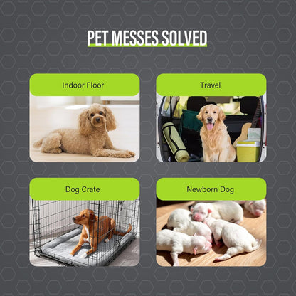 Dog Training Pads 丨 Carbon Absorb Eliminating Urine Odor Doggie Training Pads 丨 Premium Charcoal Dog Pee Pads (100 Count, 22X22 Inch),Gray