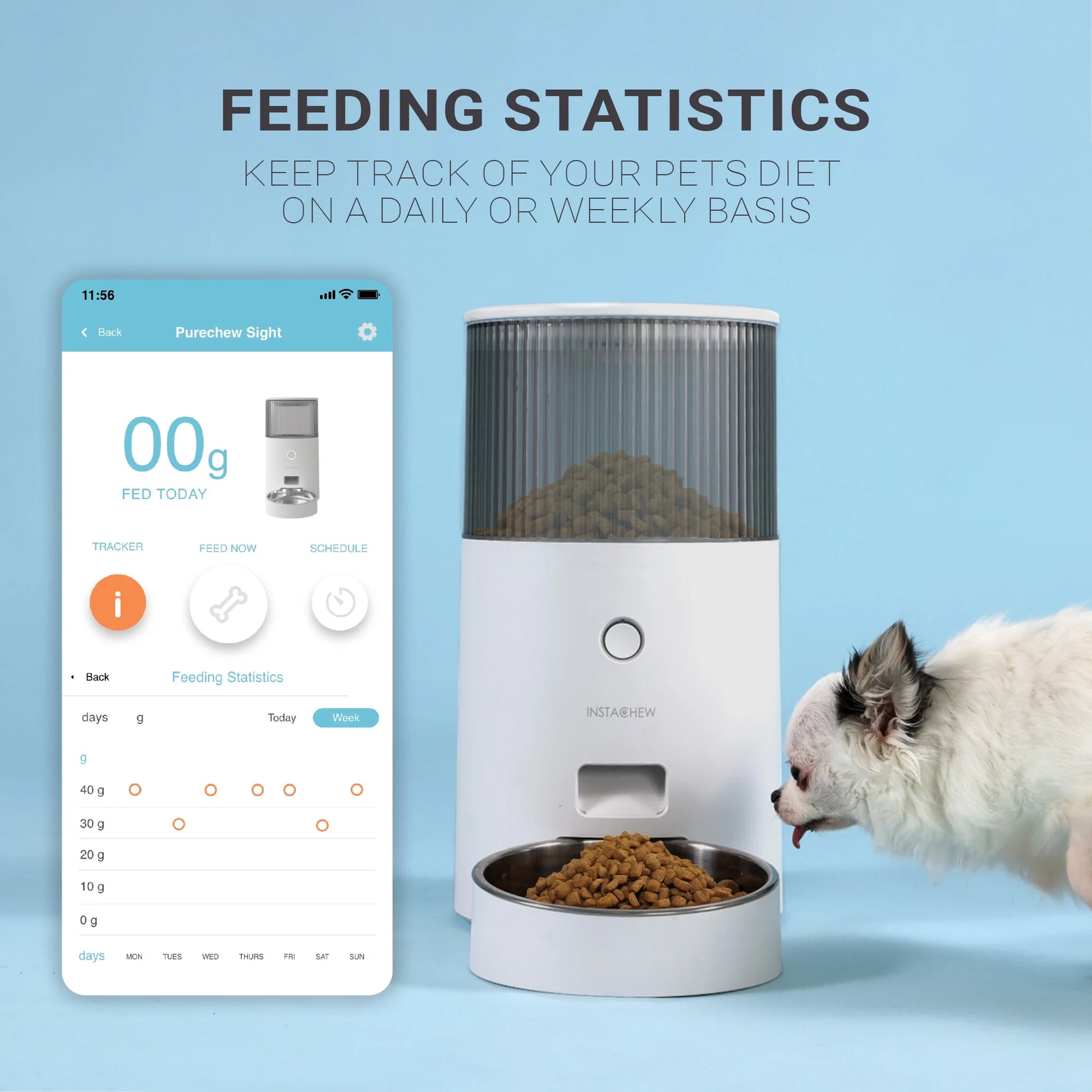 Revolutionize Your Pet's Mealtime with the Purechew Mini Automatic Smart Feeder – Perfect for Cats and Dogs!