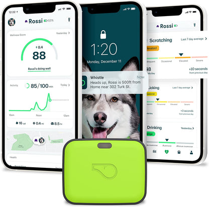 Unleash Adventure with the GO Explore Health + GPS Tracker for Pets – Green Edition (100-04202-00)