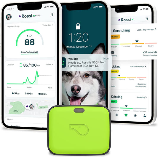 Unleash Adventure with the GO Explore Health + GPS Tracker for Pets – Green Edition (100-04202-00)