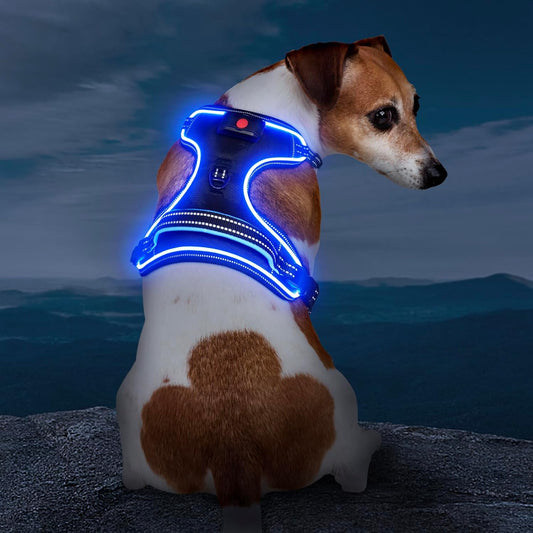 Rechargeable LED Dog Harness - No Pull, 4 Point Adjustable, Lighted Vest for Small/Medium/Large/X-Large Dogs